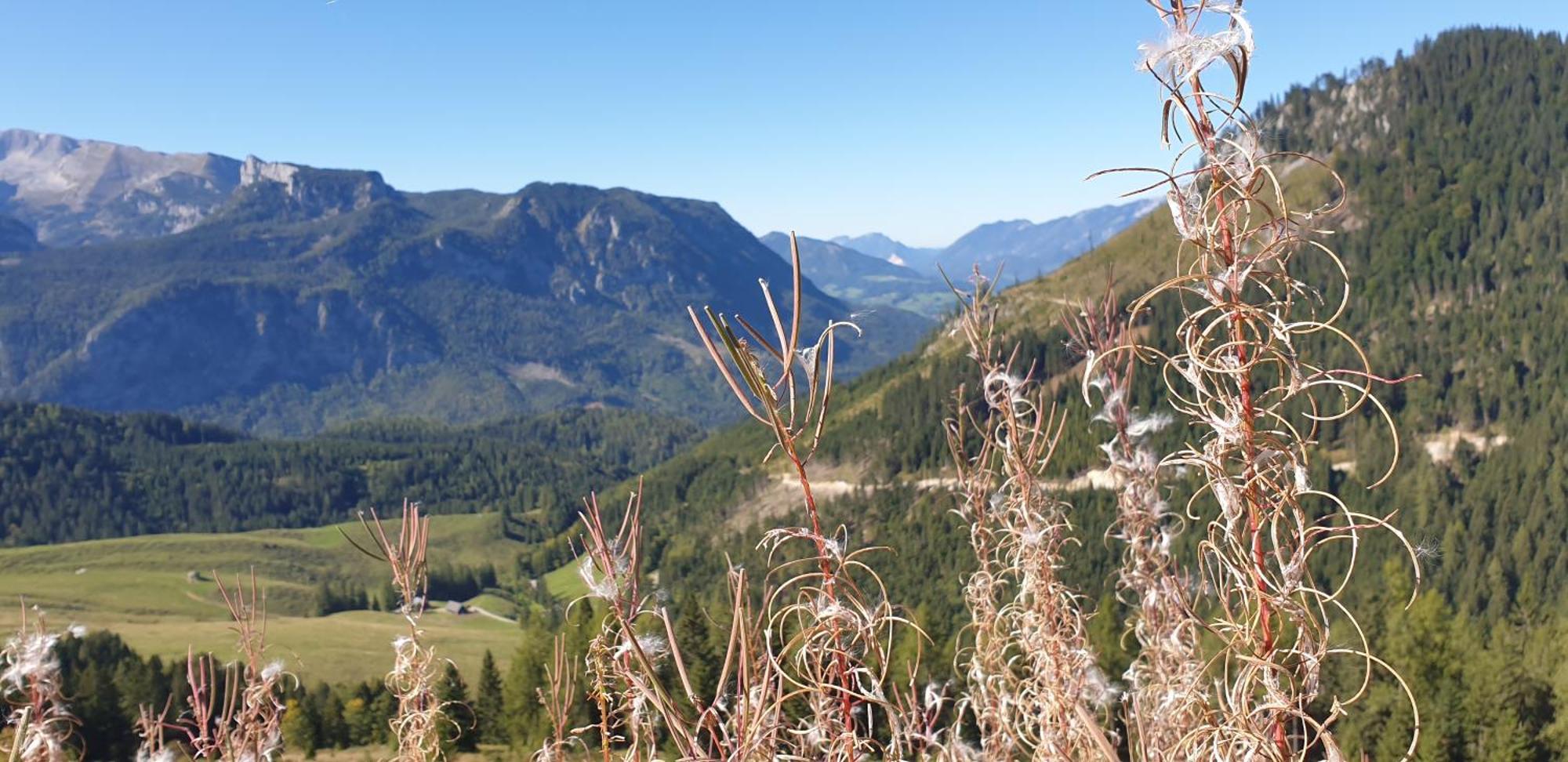 Ferienhaus Mountain View شبيتال أم بيرن المظهر الخارجي الصورة