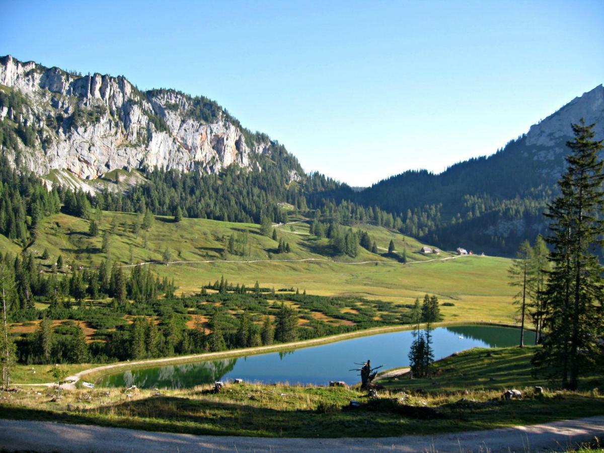 Ferienhaus Mountain View شبيتال أم بيرن المظهر الخارجي الصورة